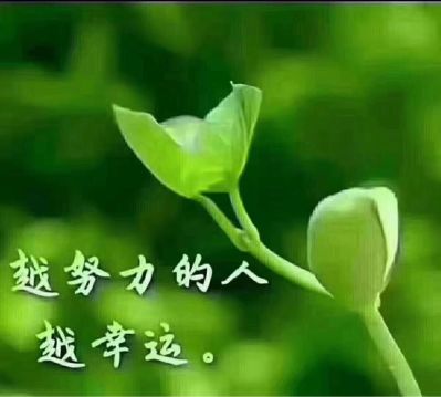 全能工电路疑难杂症设备安装调试家庭安装维修