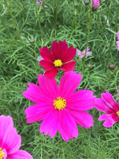 家具水电安装无