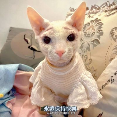 无