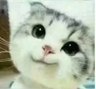 机电