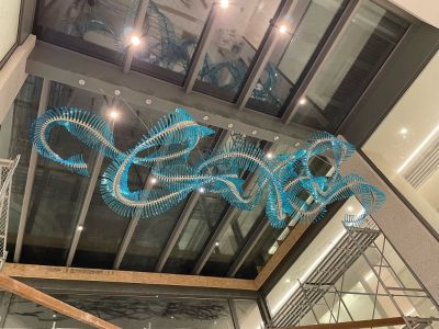 灯具安装维修灯具类安装