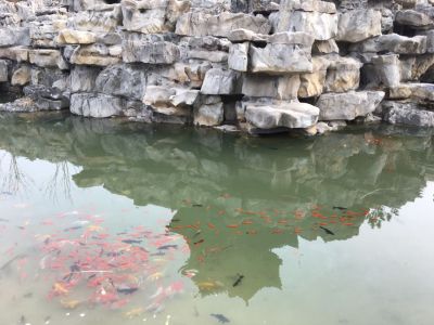 维修行业