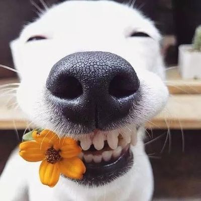 家具水电厨卫钢结构专业厂房改造无