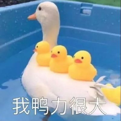 服务