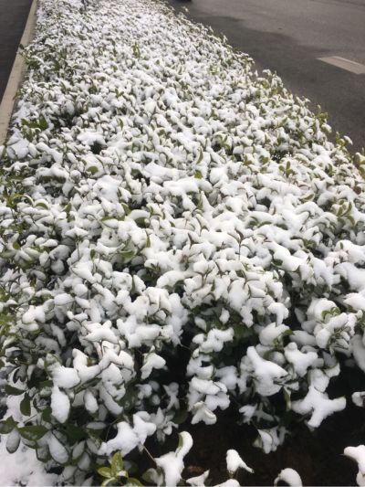 油漆墙漆防水