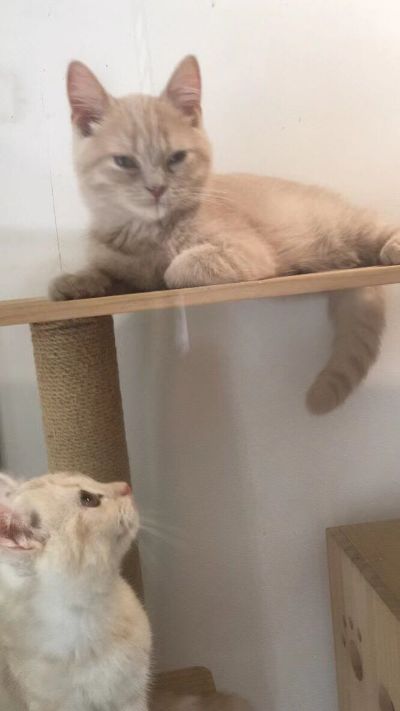 家电维修安装