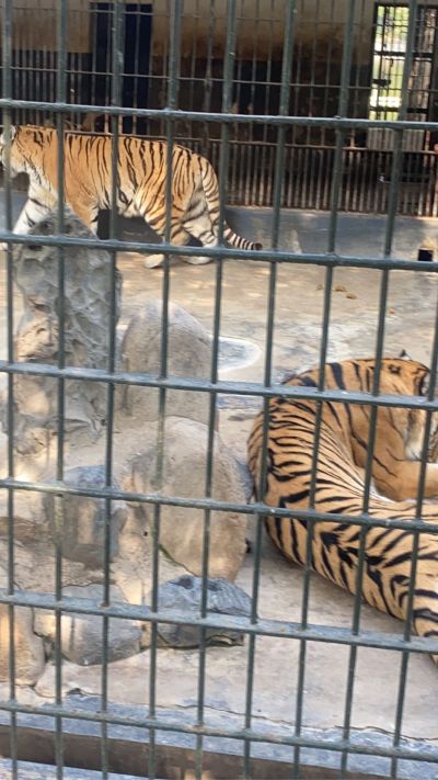 水电装修