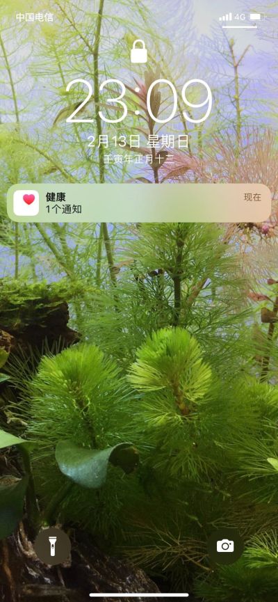 专业