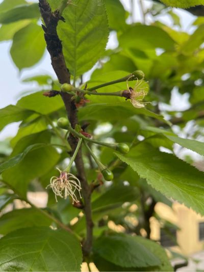 家电维修