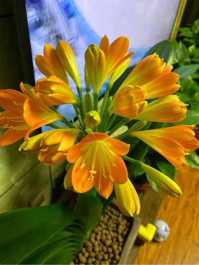 充电桩电工安装