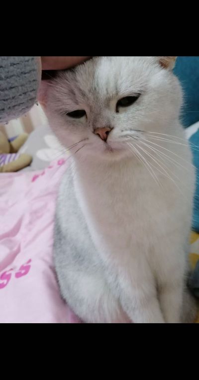 净水器安装