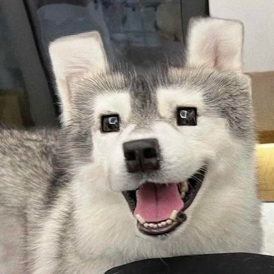 电脑维修