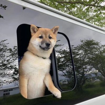 水电