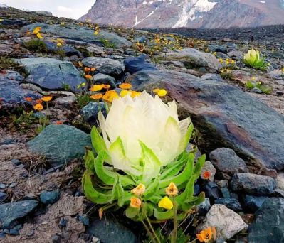 装修工装家装图纸设计无