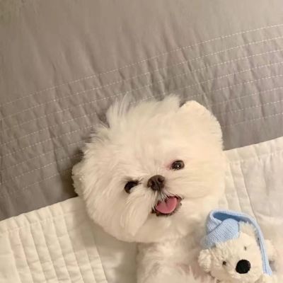 接送孩子陪诊销售理货员