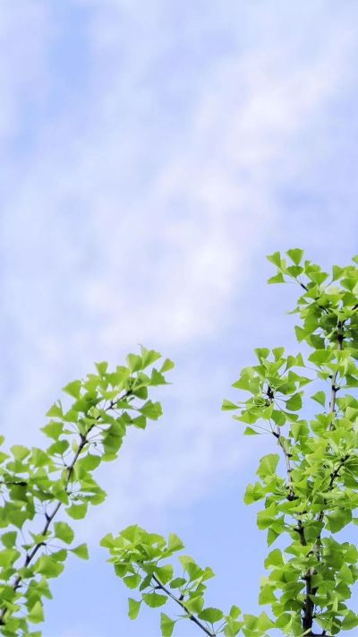 卫浴水电安装搬家货运家电安装家具组装