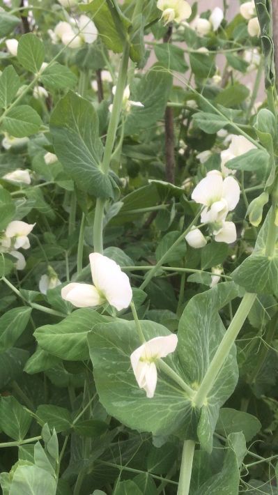防水补漏雨虹防水补漏
