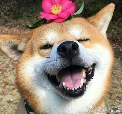 水电行业