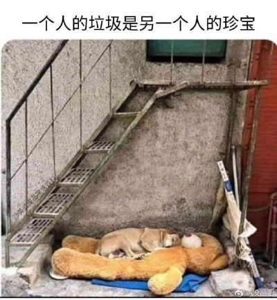 低压电工
