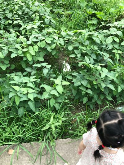 弱电网络布线电脑打印机