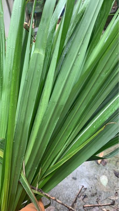 水电门窗智能智能锁水电门窗