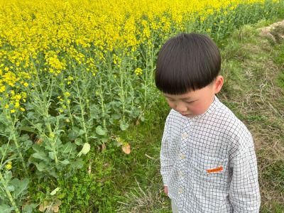 广告无
