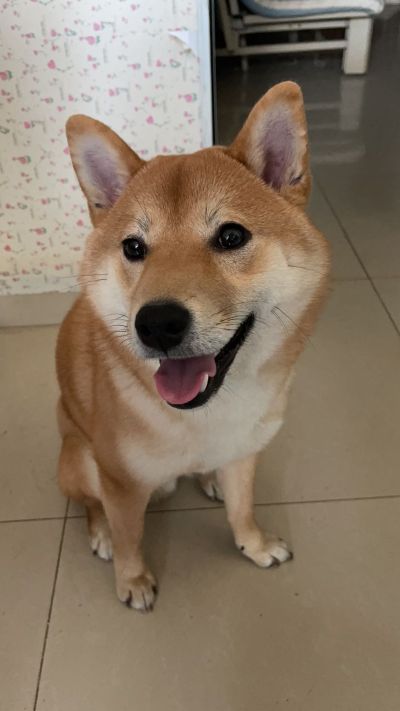 用户