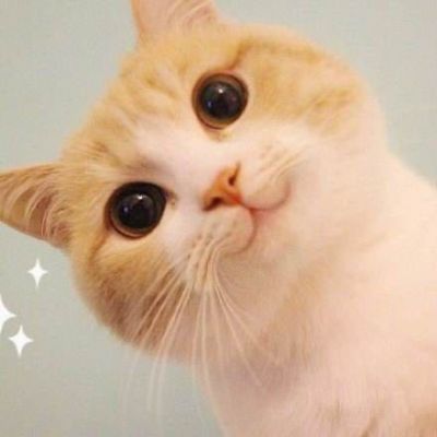 软件实施工程