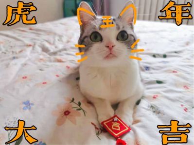 电路维修家庭设备电路