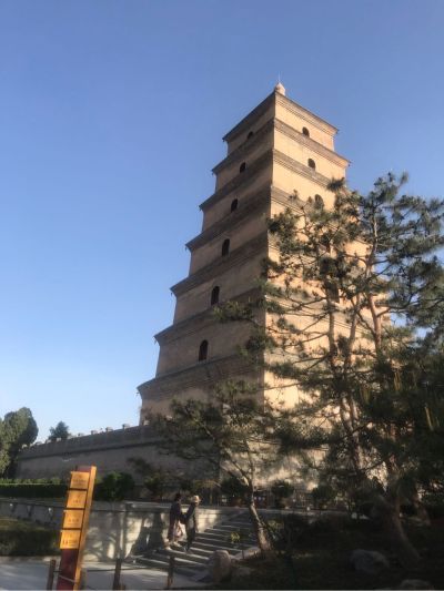 广告