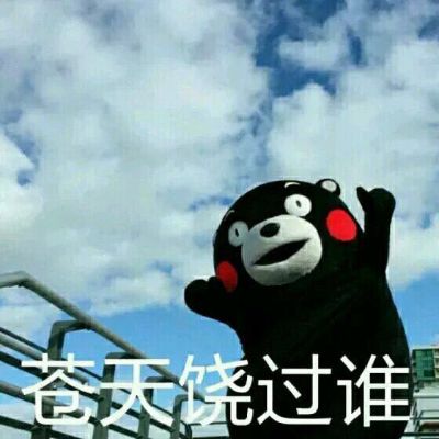 电脑笔记本无