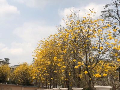 装修土建水电水电