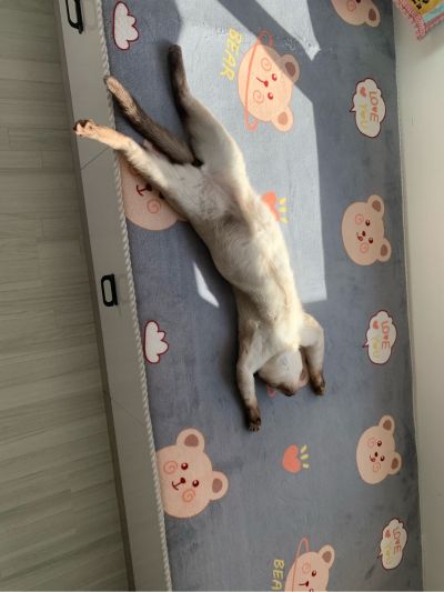 地板安装