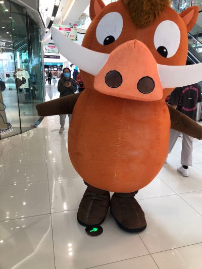 专业各z