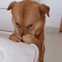 吊顶家具安装