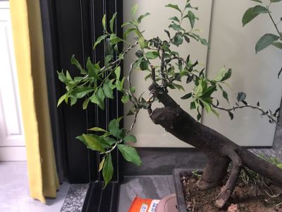 专业吊顶隔墙