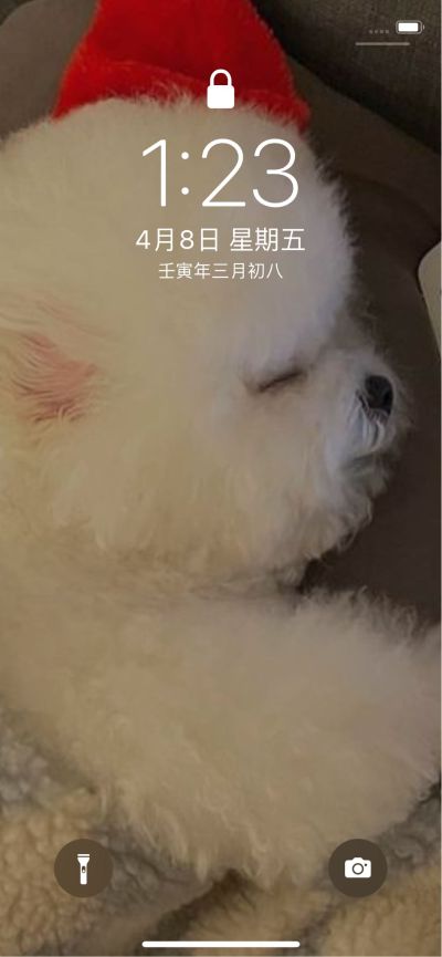 跑车司机