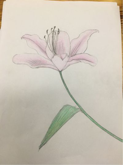 家具安装