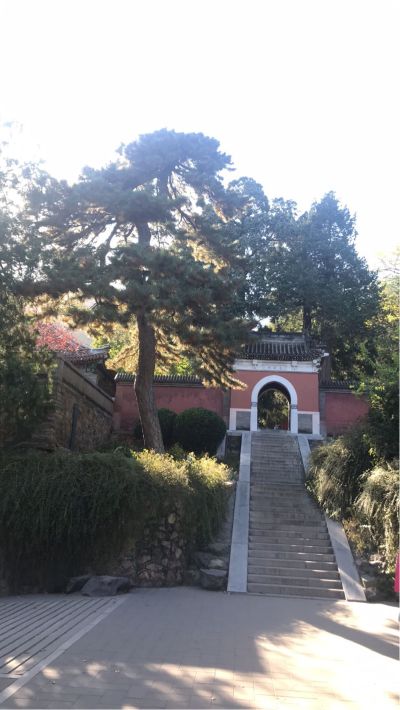 无
