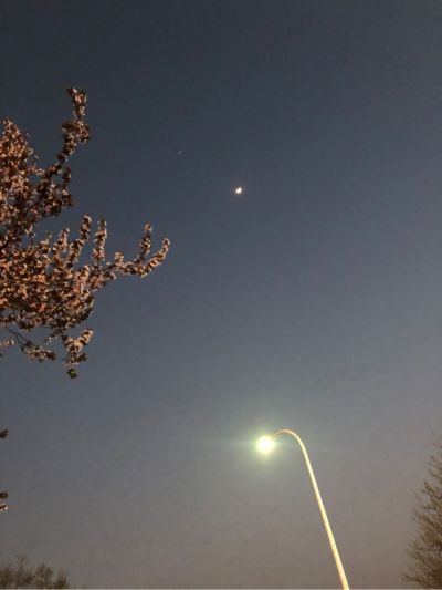 吊顶隔墙