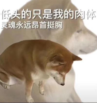 窗帘水电墙纸
