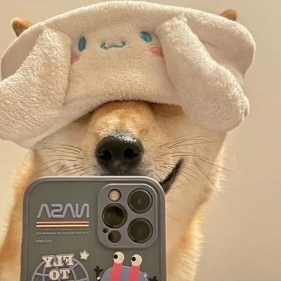 低压电工