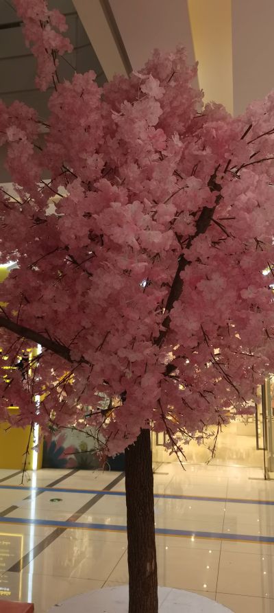 保洁保洁