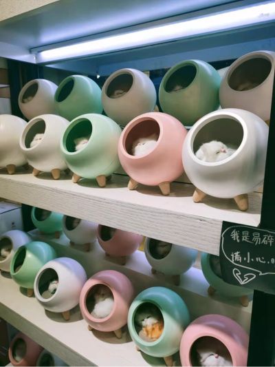 弱电智能化弱电智能化