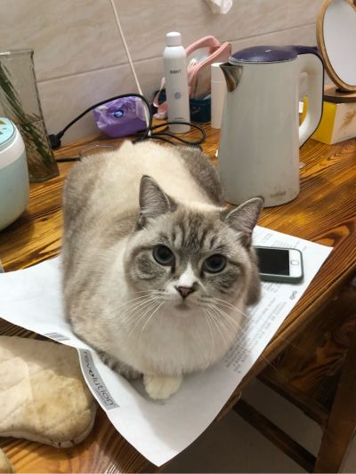 家具家电安装