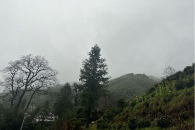 设计公司室内设计工装