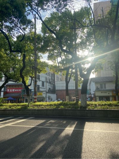 接单