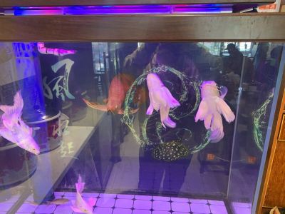 家电安装维修家电安装维修旧家电回收出售二手家电
