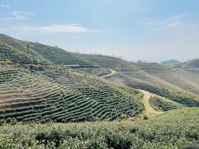 泥瓦工泥工装修泥工家装泥瓦工