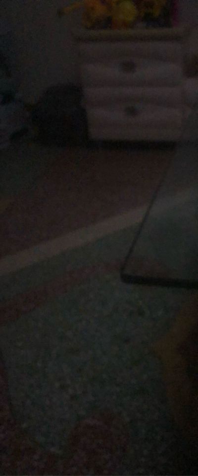 技工